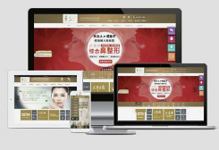 企業選擇網站定制開發需要注意什么