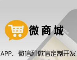 微商城與小程序商城的運營成本差異